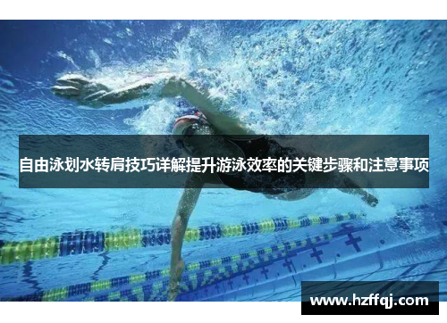 自由泳划水转肩技巧详解提升游泳效率的关键步骤和注意事项