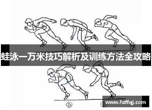 蛙泳一万米技巧解析及训练方法全攻略