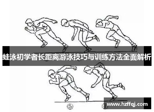 蛙泳初学者长距离游泳技巧与训练方法全面解析