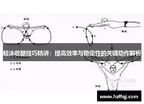 蛙泳收腿技巧精讲：提高效率与稳定性的关键动作解析